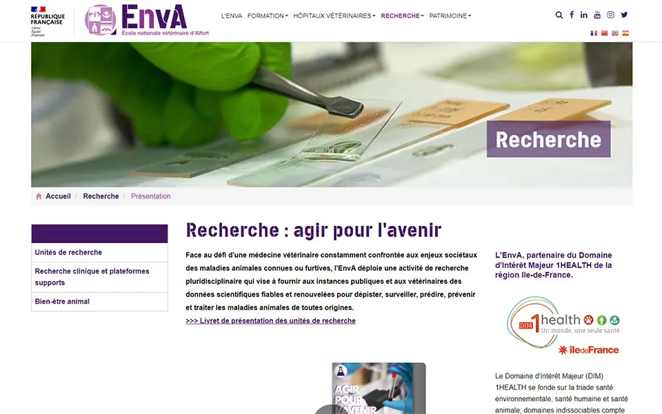 Site web ENVA 1