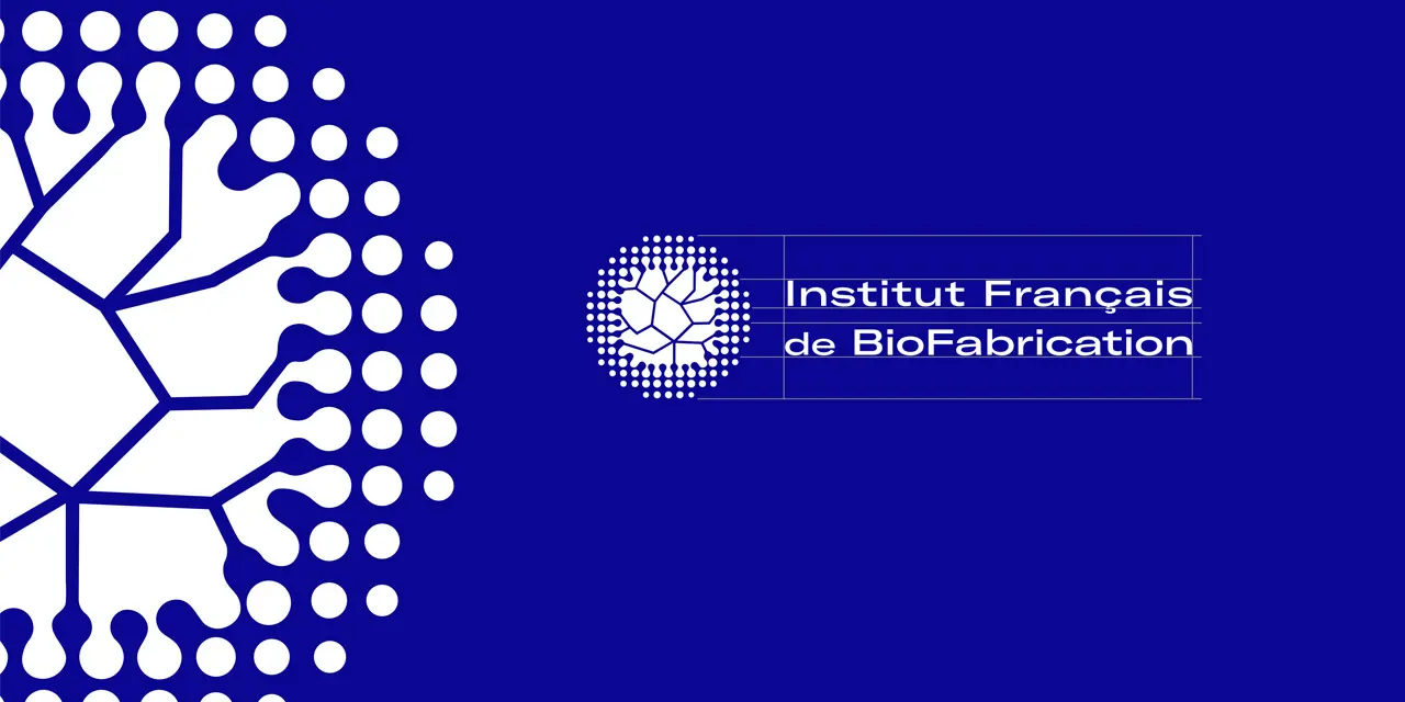 Site web Institut Français de BioFabrication 10