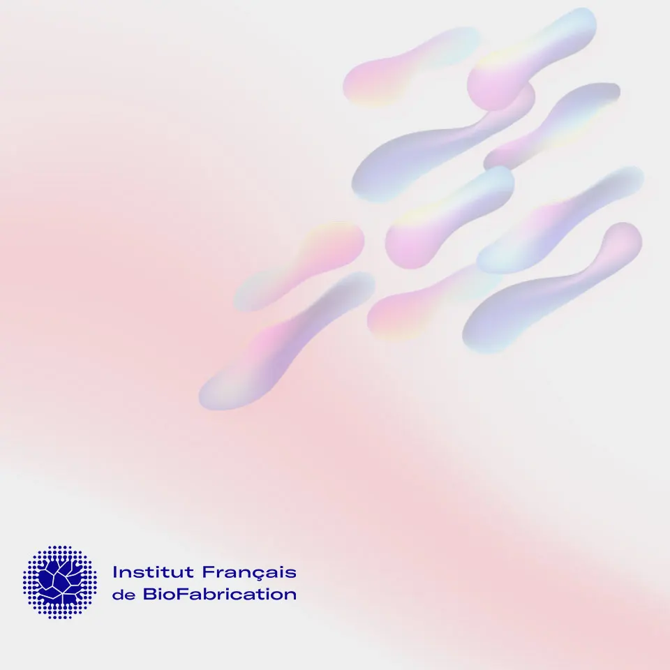 Site web Institut Français de BioFabrication 1